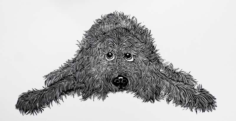 Furbaby